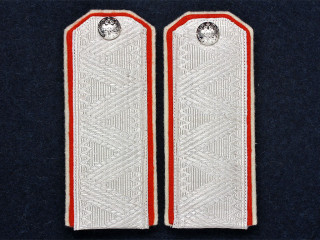 General Guards Cavalry division Officers COSSACK shoulder boards Don Cossack Host, RIA WWI