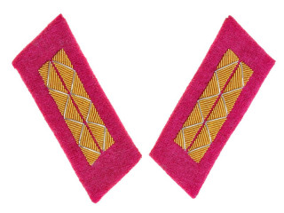 Parade Collar Insignia, Senior Officers, Infantry, Combat Personnel, 1943 Type, RKKA, USSR, Replica 