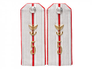 Captain officers dress shoulder boards type 1914, Imperial Russian Air Service, Russia RIA WWI