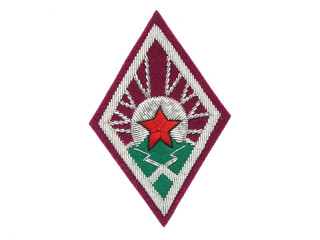 Red Army Sleeve Insignia, RKKA infantry, 1920 silver type, RSFSR WW2, Russia, Replica