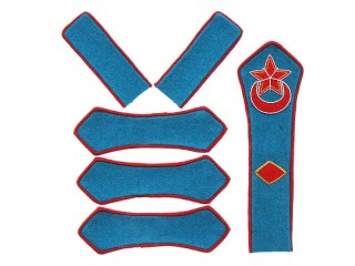 Azerbaijan Red Army aviation brigade commander patches set type 1922, USSR WW2