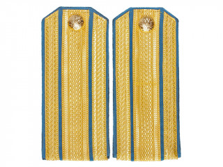 Staff officers shoulder boards 11th Dragoon Riga Regiment, Army & Guards Cavalry RIA WWI