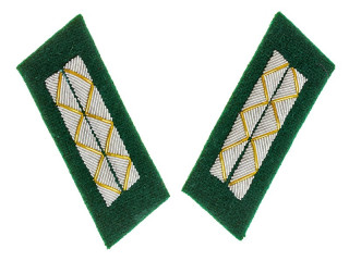 Parade Collar Insignia, Senior Officers, Medical Service, Legal Service, 1943 Type, RKKA, USSR, Replica
