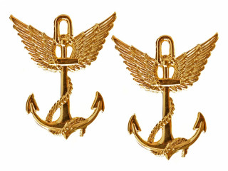 Пара позолоченных эмблем (специальных знаков) воздухоплавателей Русской императорской армии, Россия, копия