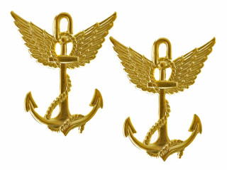 Пара латунных эмблем (специальных знаков) воздухоплавателей Русской императорской армии, Россия, копия