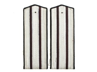 Senior Officers (Engineering And Technical Forces) Shoulder Boards, USSR, Replica 